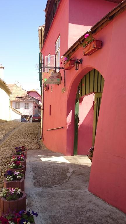 Pensiunea Cristina Si Pavel Sighisoara Exterior photo