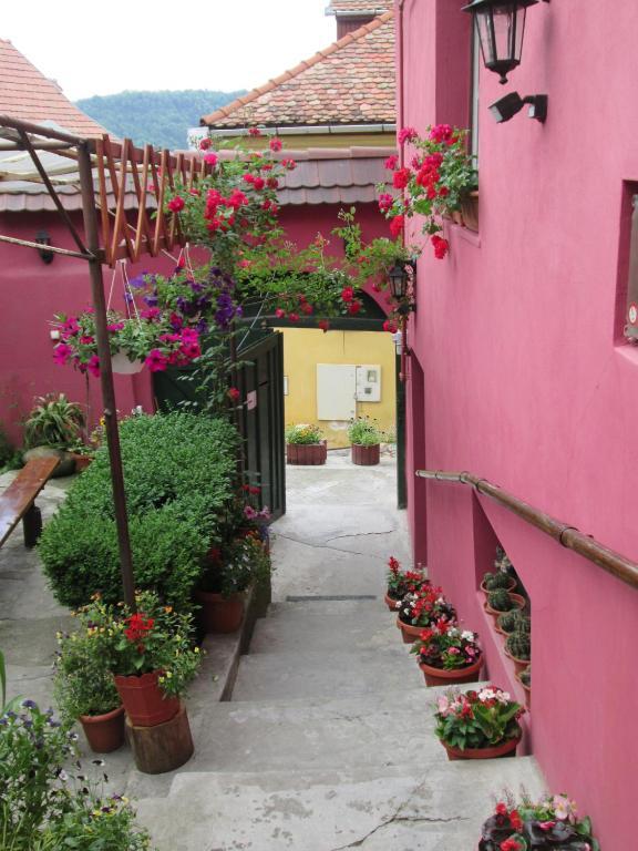 Pensiunea Cristina Si Pavel Sighisoara Exterior photo