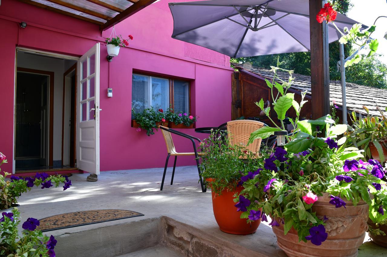 Pensiunea Cristina Si Pavel Sighisoara Exterior photo