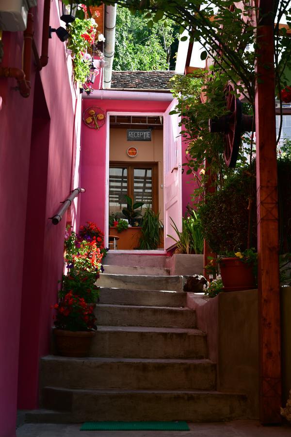 Pensiunea Cristina Si Pavel Sighisoara Exterior photo